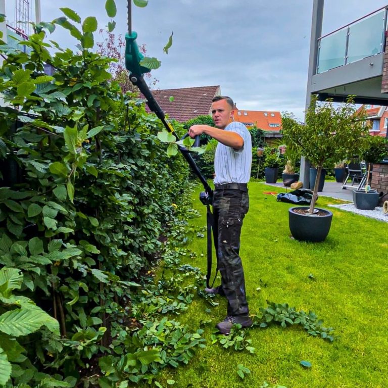 Heckenschnitt als Bestandteil des LDM Services Garten-Abo im Kreis Pinneberg 