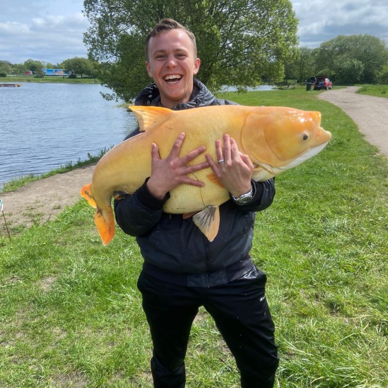 LDM Services bei der Teichpflege in Pinneberg – großer Goldkarpfen wird fachgerecht umgesetzt