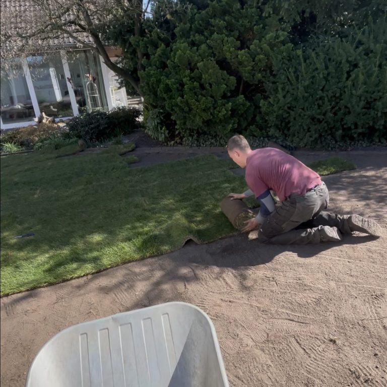 Frisch verlegter Rollrasen